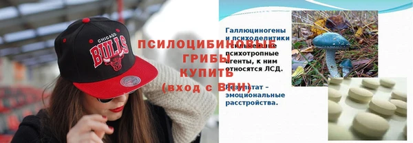 спиды Гвардейск