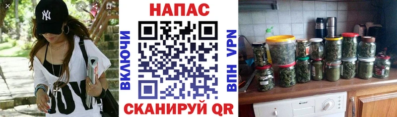 Купить где  Звенигово  Шишки марихуана план 
